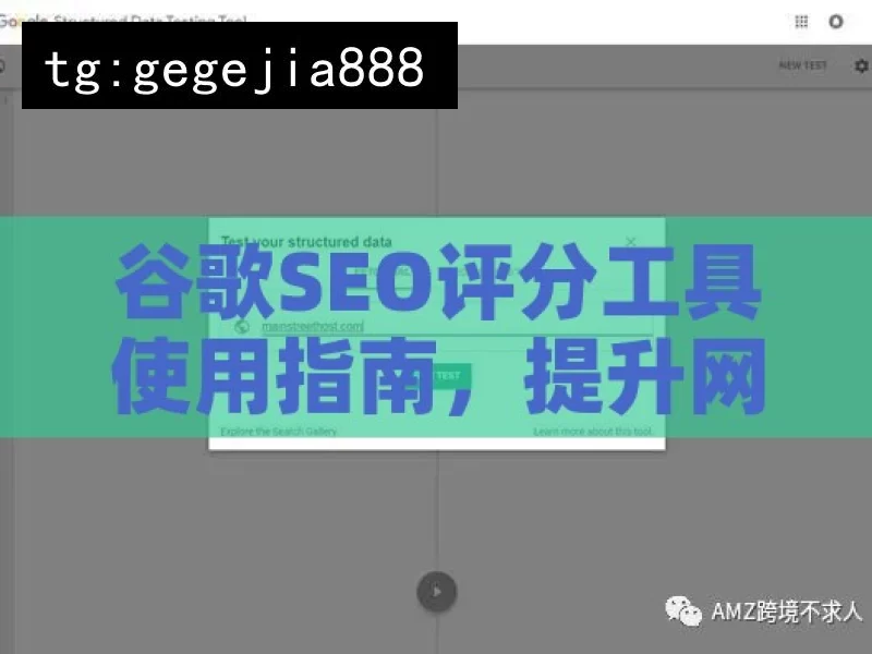 谷歌SEO评分工具使用指南，提升网站排名的秘籍大揭秘！