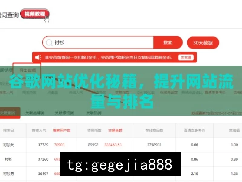 谷歌网站优化秘籍，提升网站流量与排名