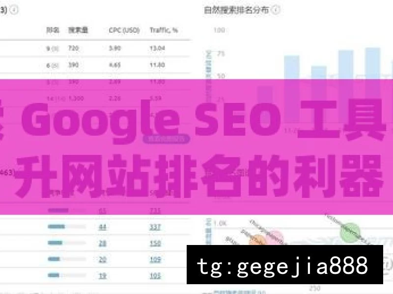 探索 Google SEO 工具，提升网站排名的利器