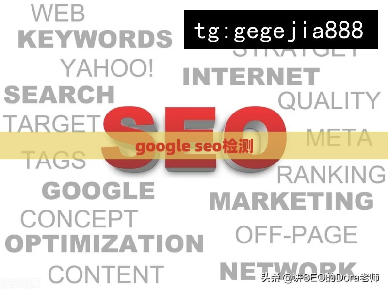 google seo检测