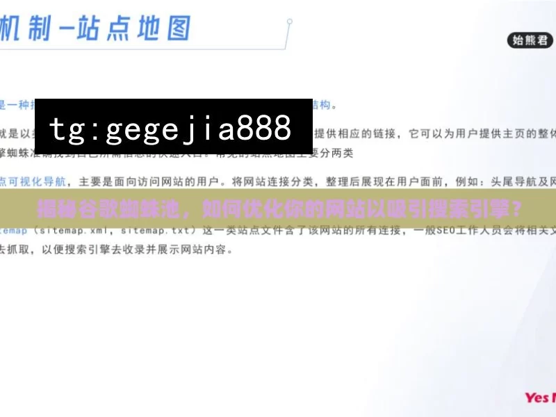 揭秘谷歌蜘蛛池，如何优化你的网站以吸引搜索引擎？
