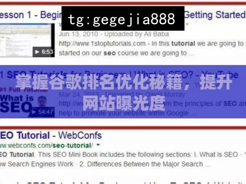 掌握谷歌排名优化秘籍，提升网站曝光度
