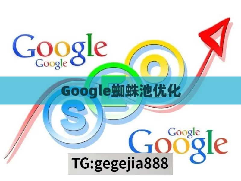 Google蜘蛛池优化