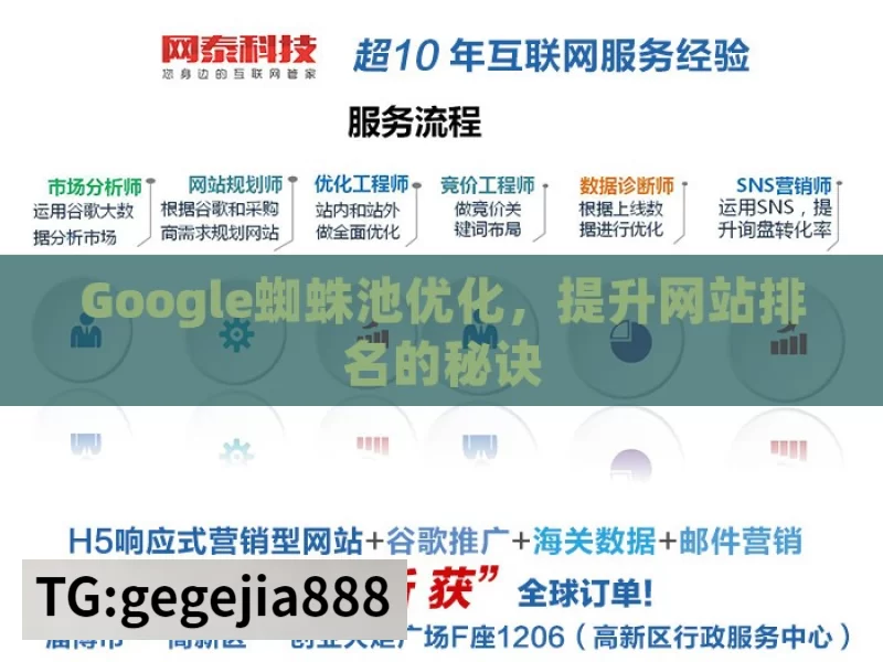 Google蜘蛛池优化，提升网站排名的秘诀