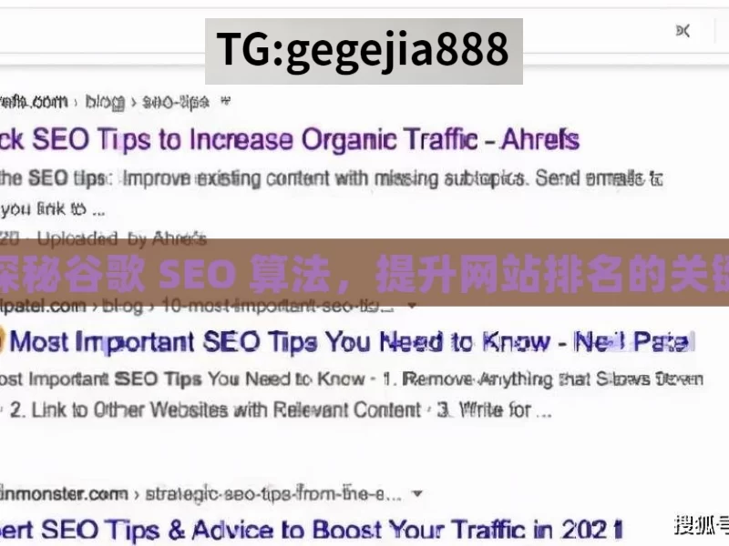 探秘谷歌 SEO 算法，提升网站排名的关键