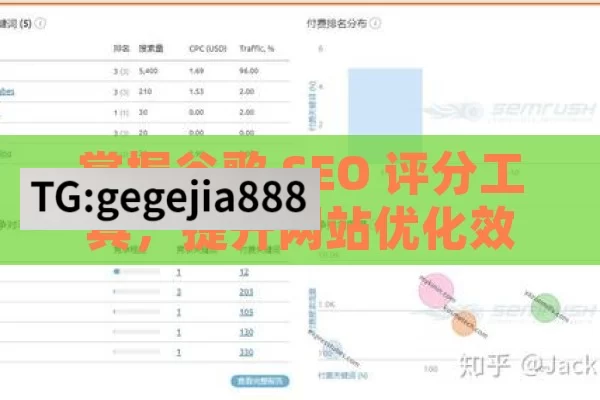 掌握谷歌 SEO 评分工具，提升网站优化效果,谷歌SEO评分工具使用指南