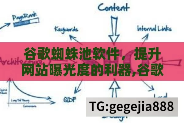 谷歌蜘蛛池软件，提升网站曝光度的利器,谷歌蜘蛛池软件，网站排名的秘密武器