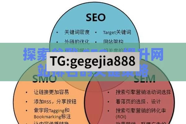 探索谷歌 SEO，提升网站排名的关键策略