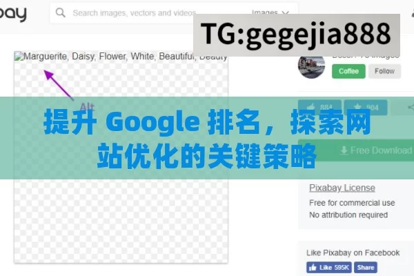 提升 Google 排名，探索网站优化的关键策略