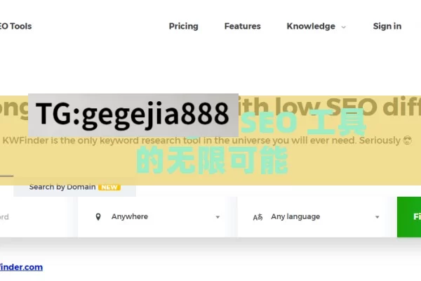 探索 Google SEO 工具的无限可能