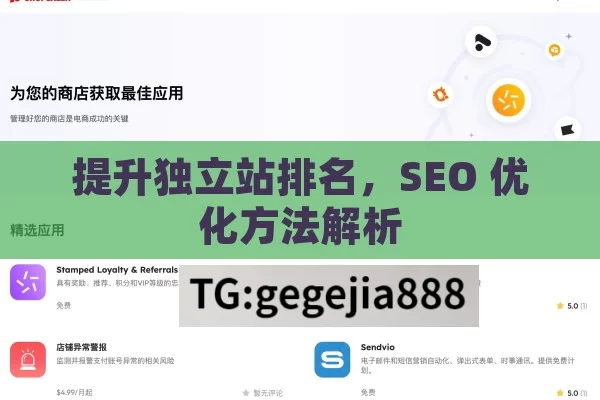 提升独立站排名，SEO 优化方法解析