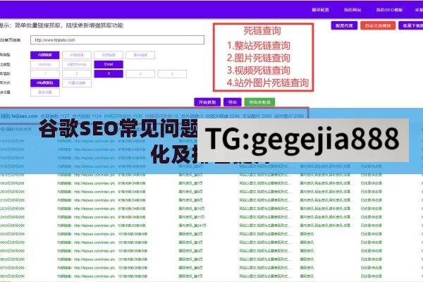 谷歌SEO常见问题全解答，助力网站优化及排名提升