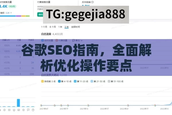 谷歌SEO指南，全面解析优化操作要点