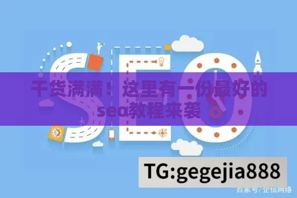 干货满满！这里有一份最好的seo教程来袭