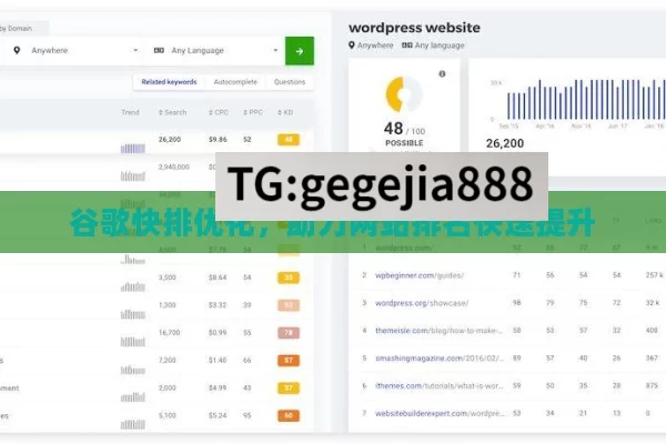 谷歌快排优化，助力网站排名快速提升